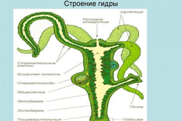 Через какой браузер зайти на кракен