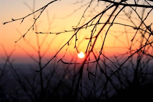 Кракен шоп даркнет