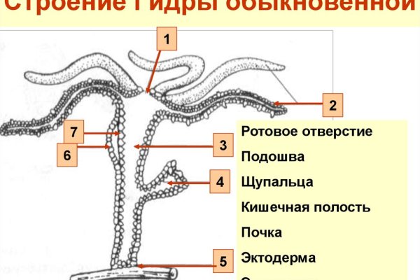 Kraken ссылка официальная