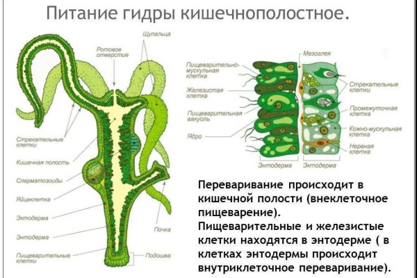 Kraken ссылка kraken clear com